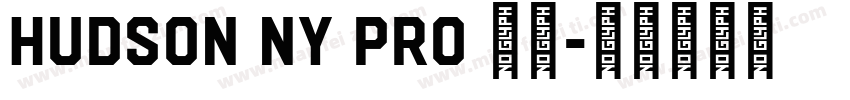 Hudson NY Pro 字体字体转换